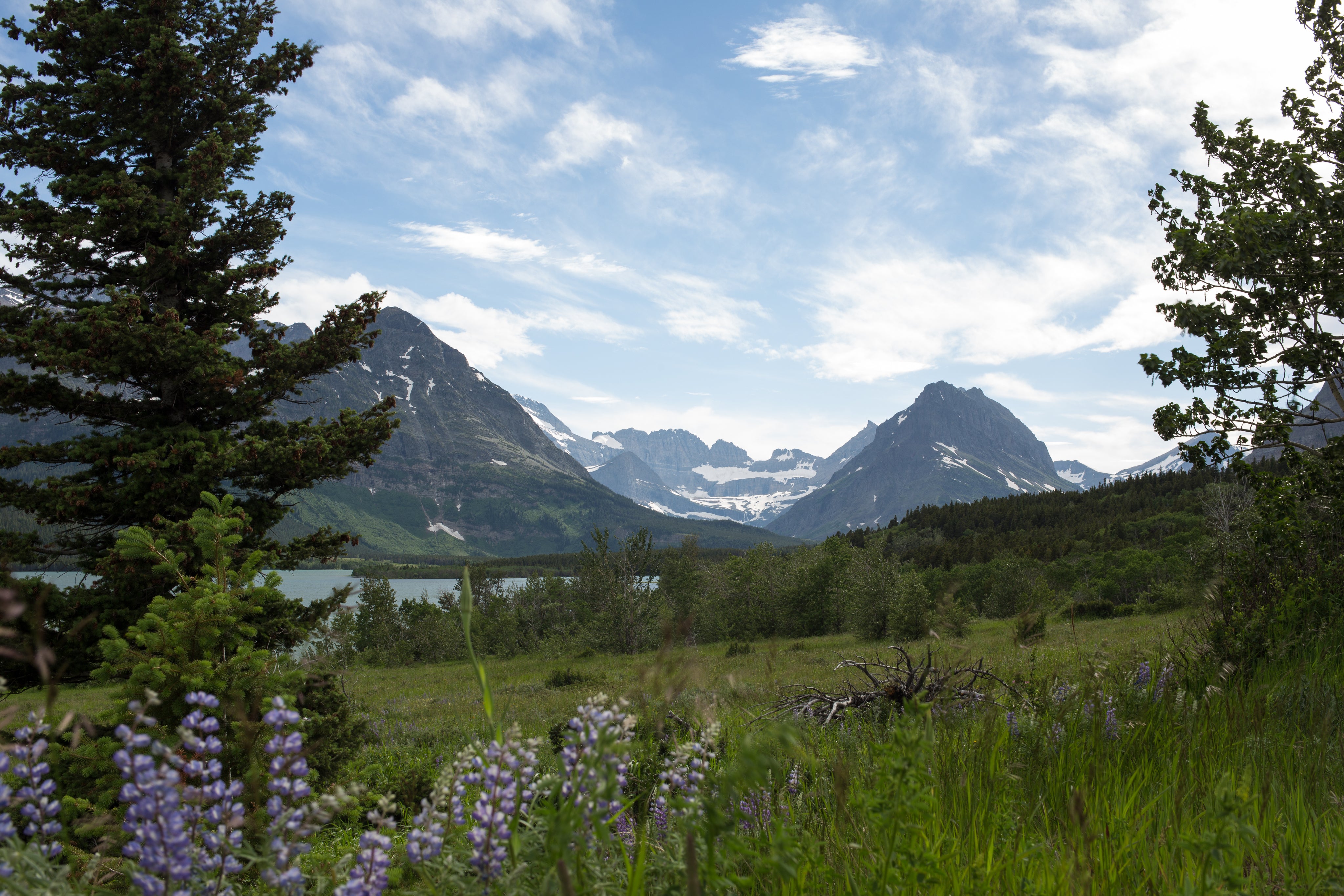 files/nature-mountains-flower-landscape-adventure.jpg